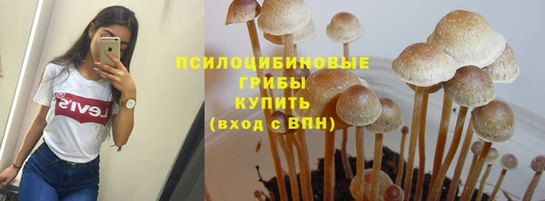 гидра Абдулино