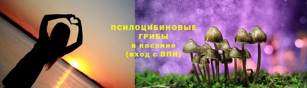 гидра Абдулино