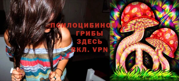 гидра Абдулино