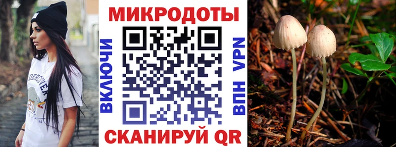 Галлюциногенные грибы Cubensis  omg ССЫЛКА  Нефтегорск  купить  